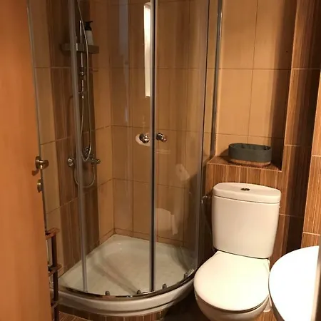 Olive City Center Apartment *